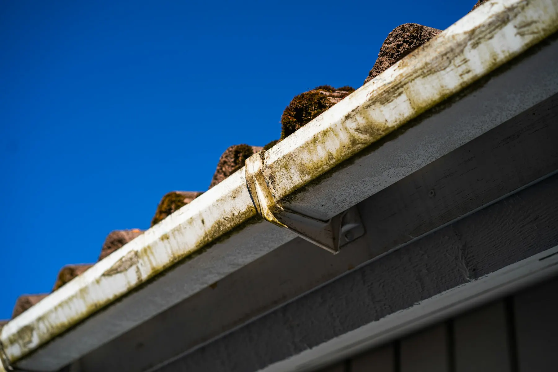 A white PVC gutter with moss along it and old roof tiles above, against a blue sky